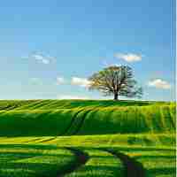 自﻿动﻿精​灵‌画‌图​脚‌本‍